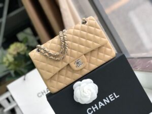 Chanel Classic Handbag Silver Hardware Beige For Women, Women’s Bags, Shoulder And Crossbody Bags 10.2in/26cm A01112