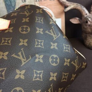 Louis Vuitton Speedy 30 Monogram Canvas For Women, 11.8in/30cm LV M41108